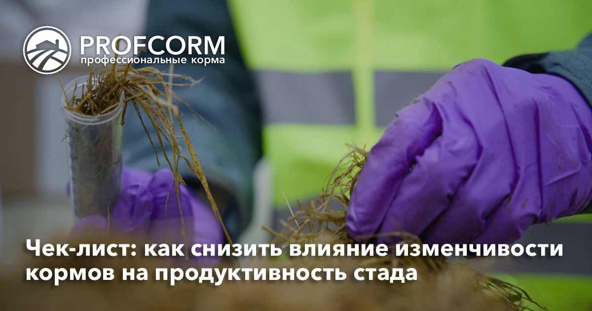 📋 Список для проверки: как снизить влияние изменчивости кормов на продуктивность стада

Даже качест
