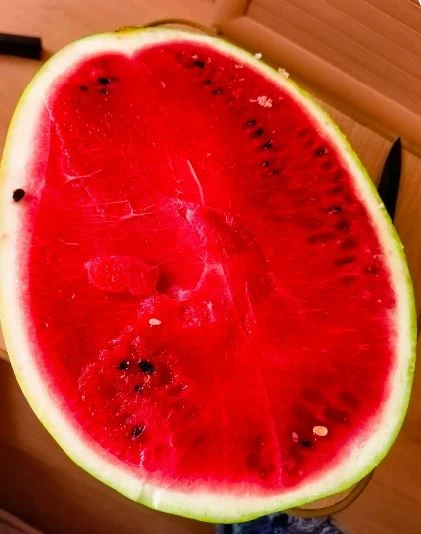 🍉 Как только мякоть арбуза оказывается открытой, она становится идеальной средой для размножения ба