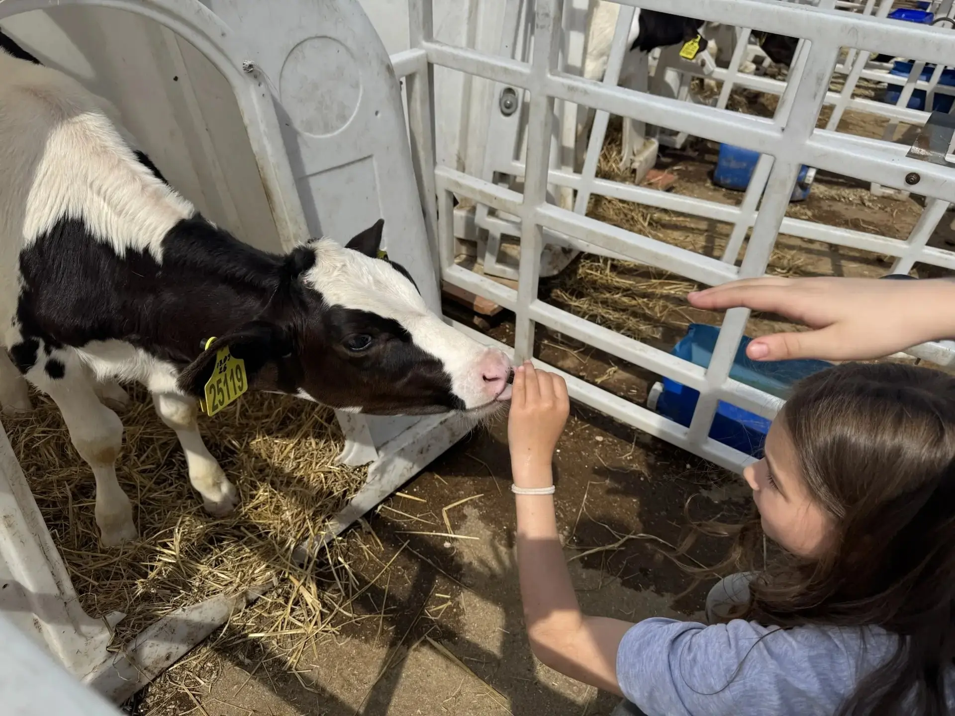 Детское «хочу» и один неловкий момент на ферме 🐄

На этой неделе мы съездили с нашими школьниками н