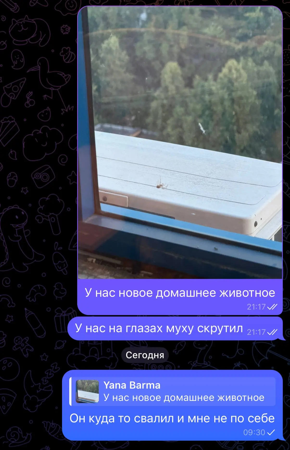 Утро становится томным 🤣
