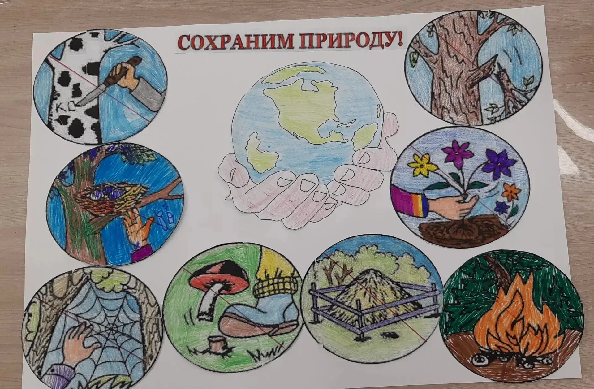 🌿 День, посвящённый теме «Экология родного края», получился очень насыщенным и познавательным.
🏃‍♂