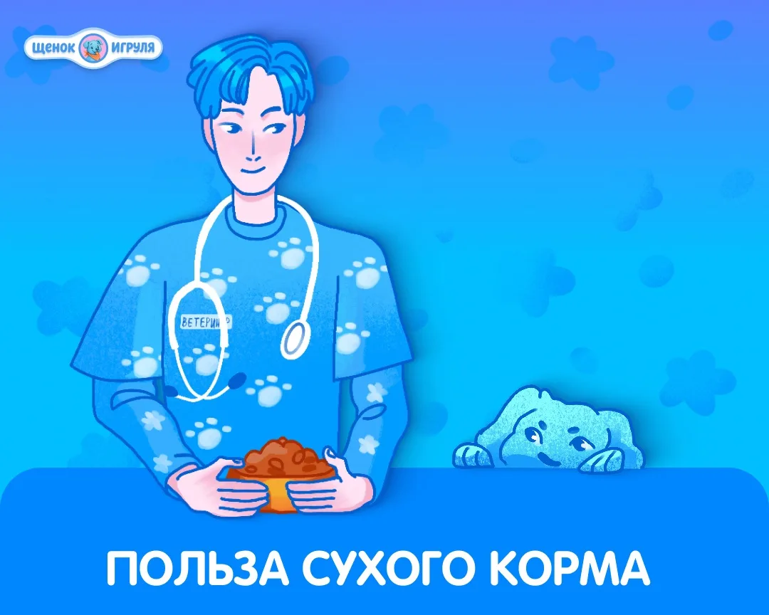 Польза сухого корма 🐶

Вопреки мифам, сухой корм — это не компромисс, а научный подход к питанию.