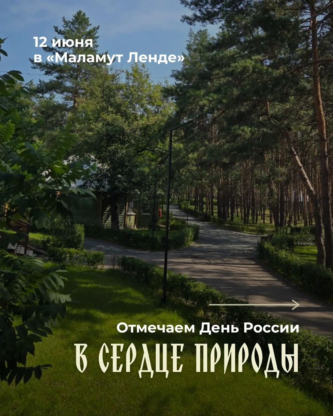 Есть ощущение, что идеальный День России должен выглядеть примерно так: лес вместо шума города, что-