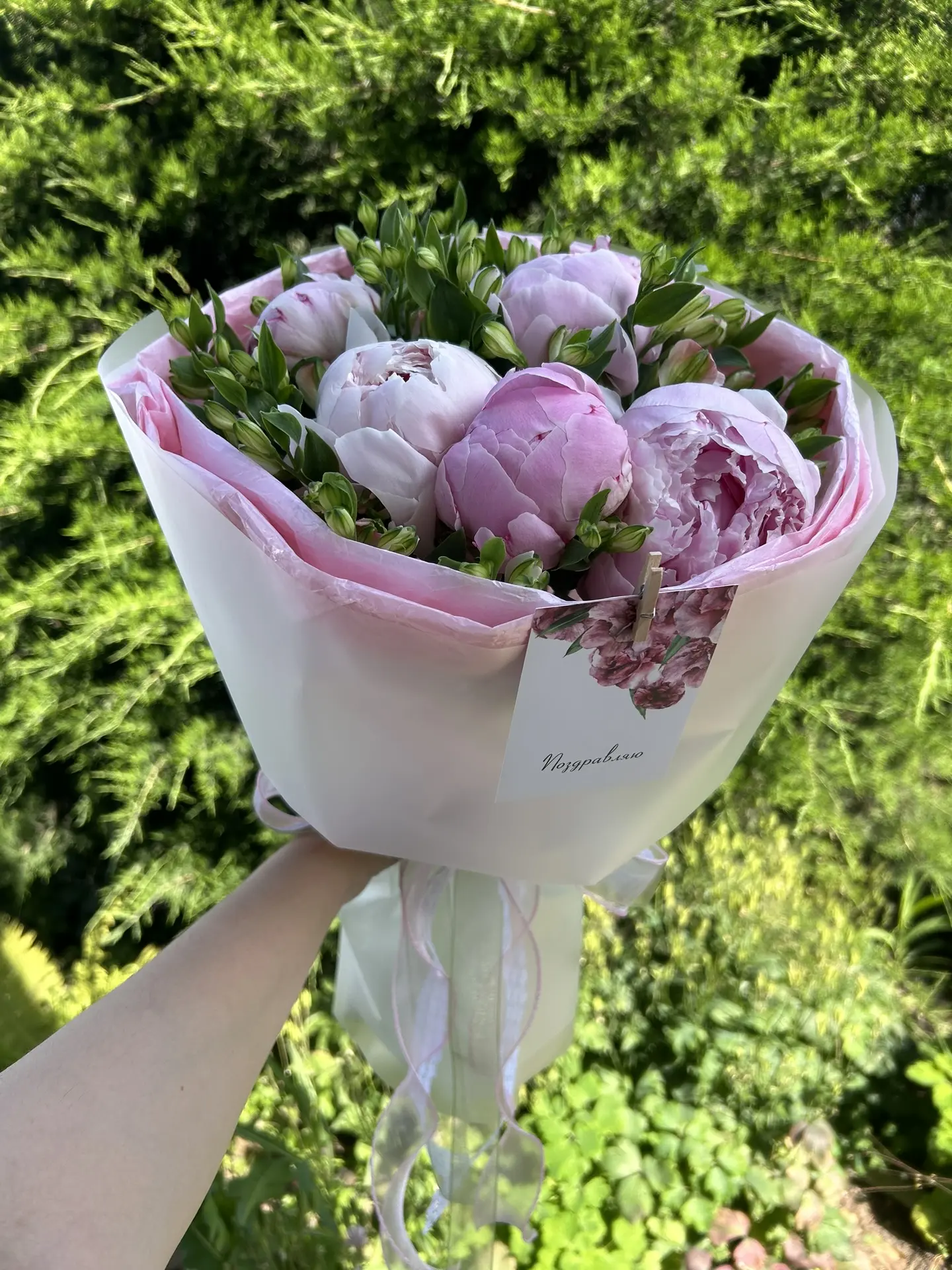 И снова прекрасные пионы🌸
Стоимость 2000₽

Пишите в любой удобный для вас мессенджер
8 (918) 130-64