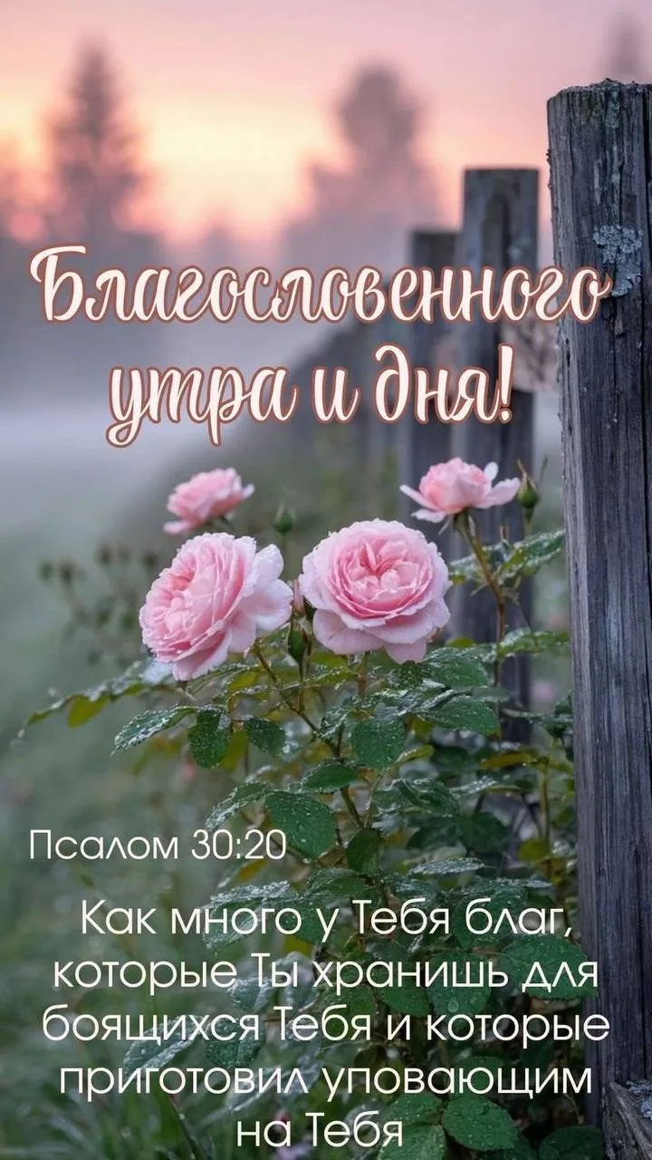 ❤️❤️❤️❤️Открытки❤️❤️❤️❤️
Теперь и в MAX