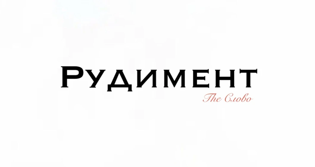 Рудимент 

🔴 Слово «рудимент» происходит от латинского rudimentum, что означает «начало», «первый о