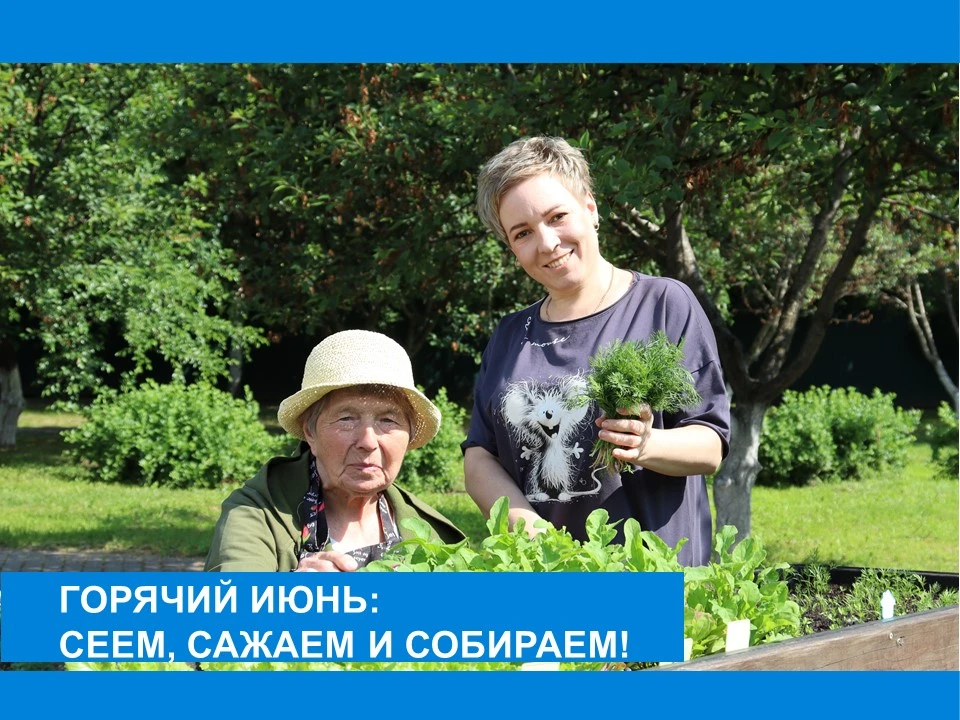 От семян до первых всходов - огородные хлопоты
Наш мини-огород пышет и растёт! В июне дел не перевес