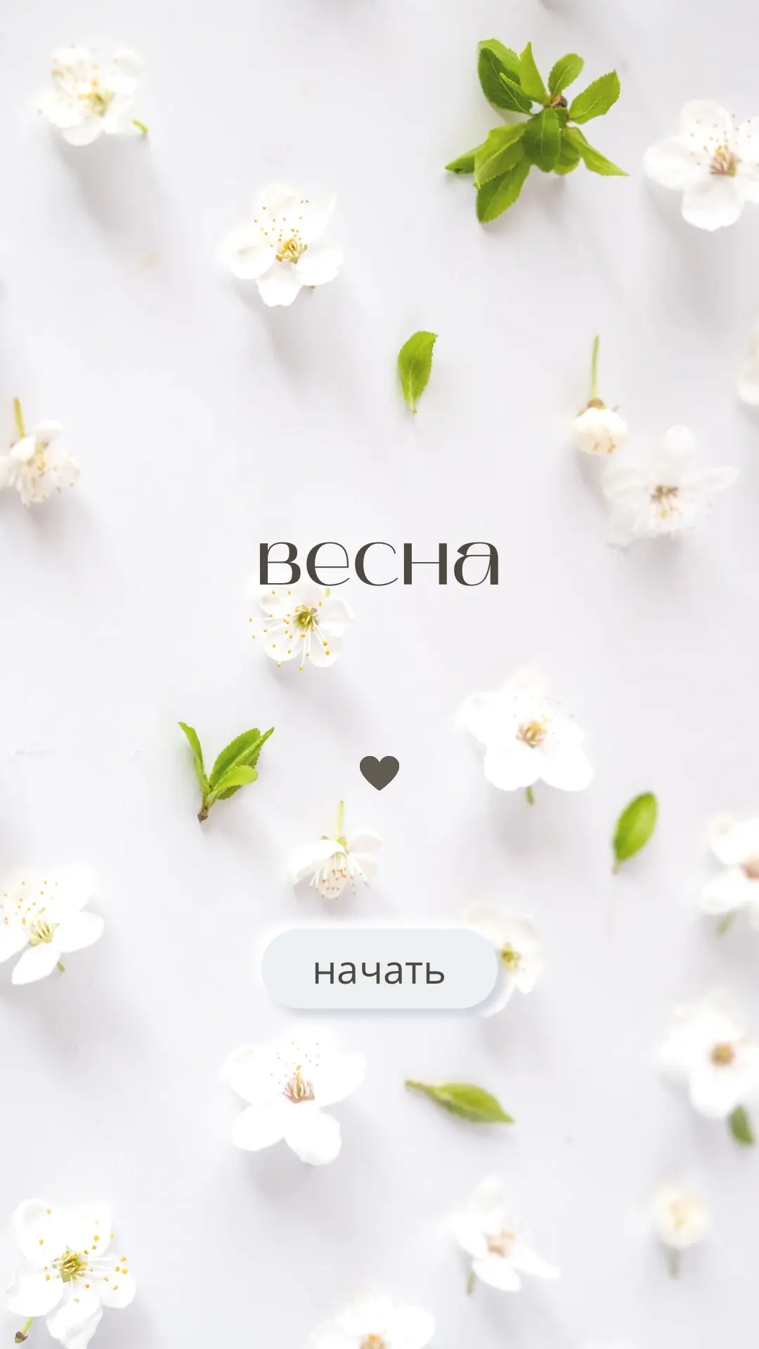 Ой, кажется, мы немного опоздали с поздравлением… 😅 Было столько работы, что мы только сейчас пришл