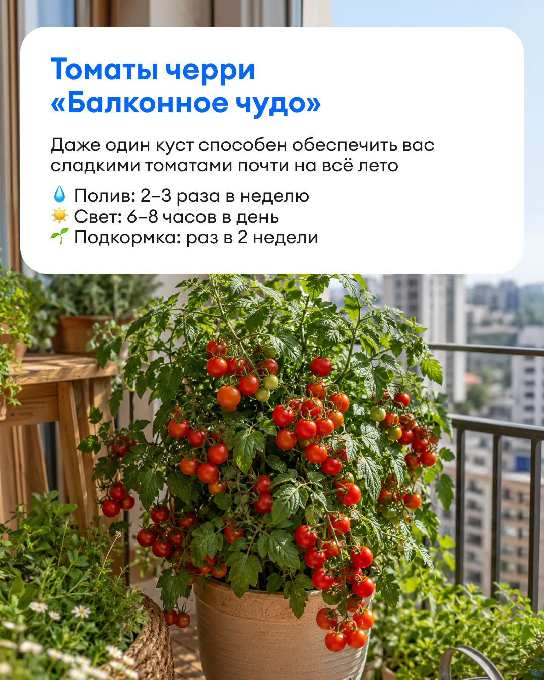 🌸 Превращаем лоджию в зелёный оазис

Предлагаем вдохновиться идеями для создания собственного мини-