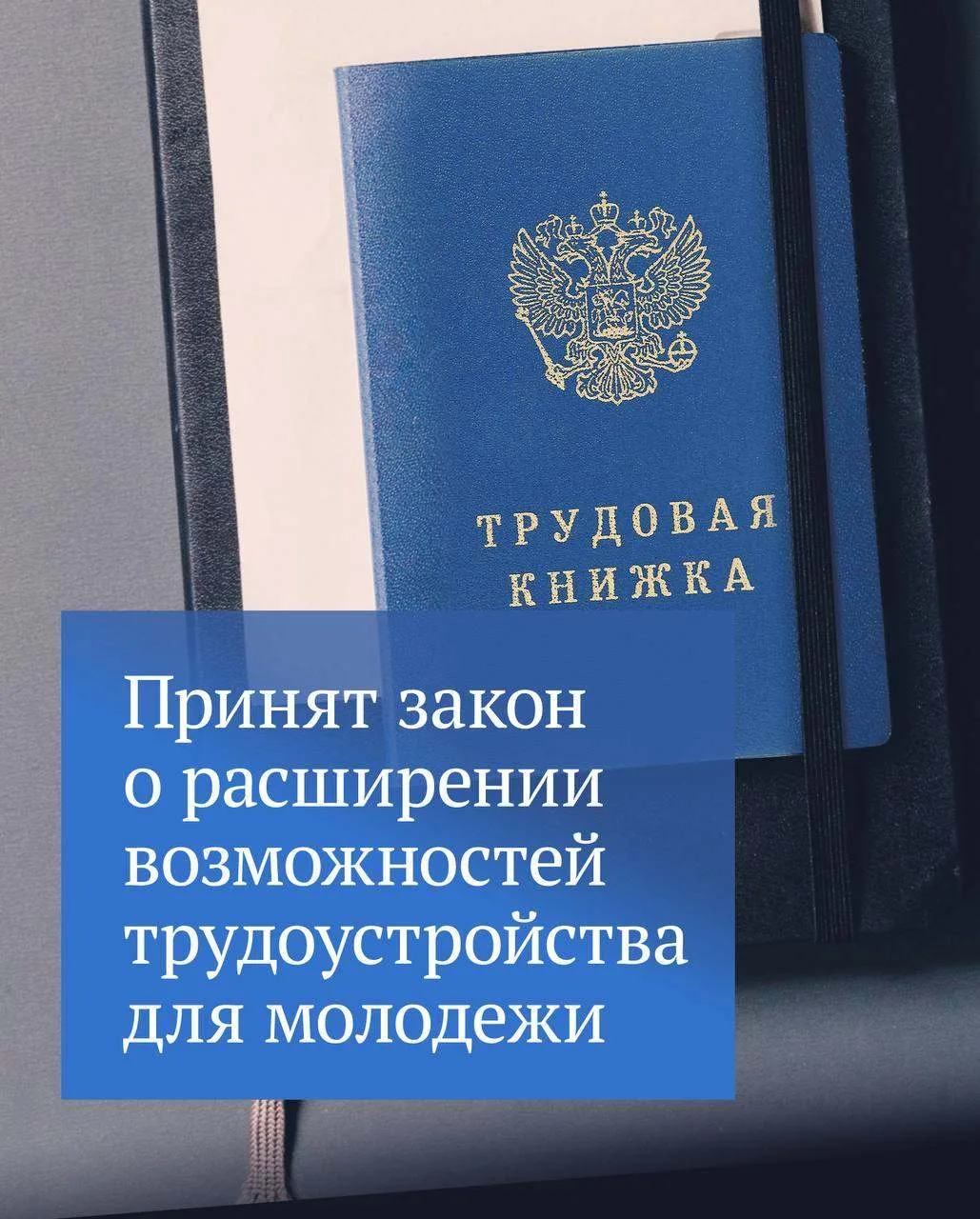 Молодым специалистам бывает непросто сделать первый шаг в профессии. Работодатели хотят видеть опытн