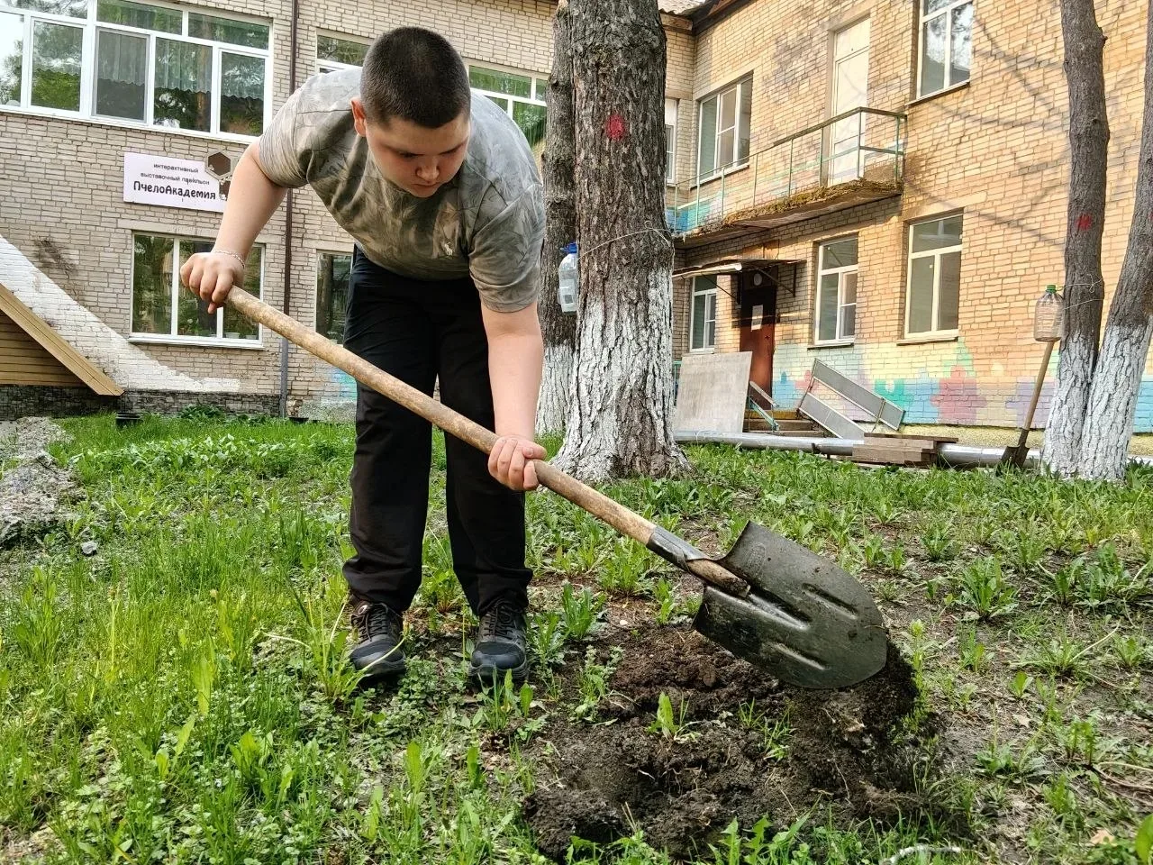 #ТерриторияДобрыхДел@studio_ship
Мы — экологи👨‍🌾!
Спасаем планету 🌍.
Попросили саженцы в питомник