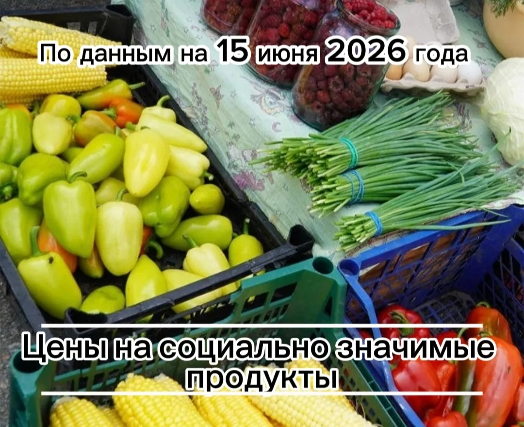 Где дешевле всего купить необходимые продукты в посёлке Борисовка. 

✅ Свинина (лопатка без кости) –