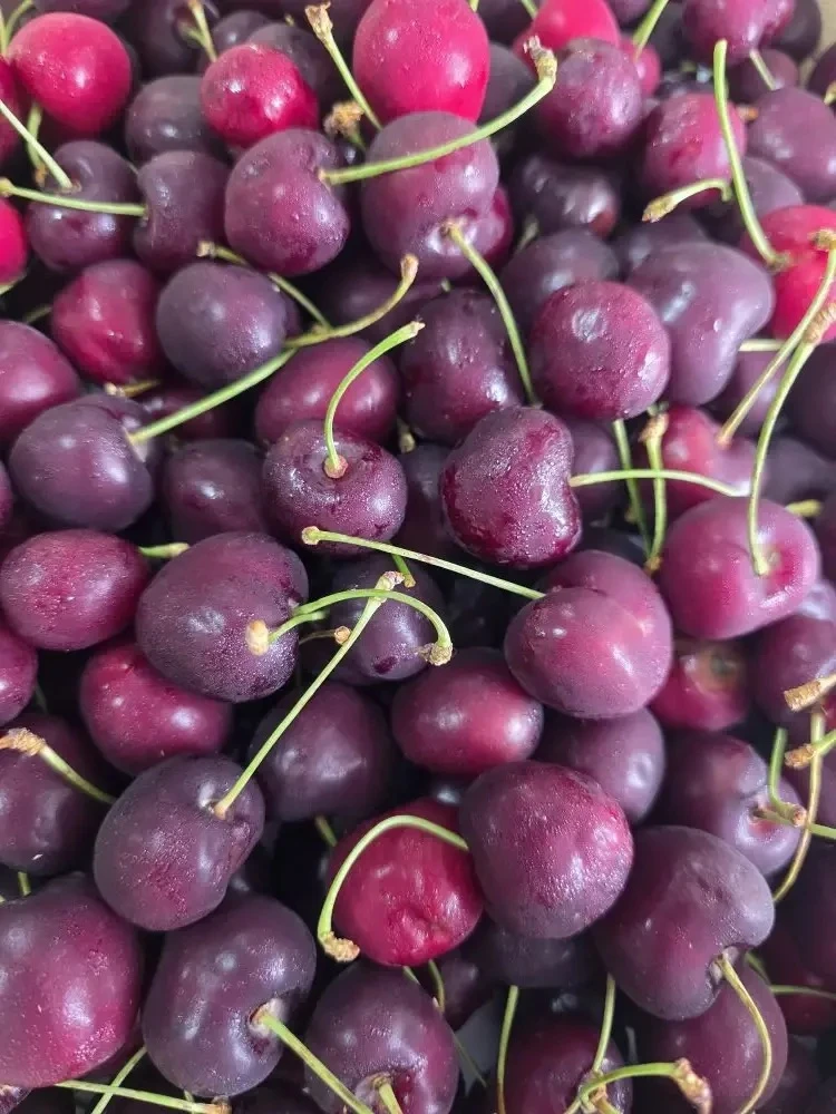 СВЕЖЕЕ ПОСТУПЛЕНИЕ 

🍓КЛУБНИКА АЗЕРБАЙДЖАНСКАЯ
▪️1000₽ ящик 2кг

🍒ЧЕРЕШНЯ КИРГИЗИЯ
▪️1500₽ ящик (1