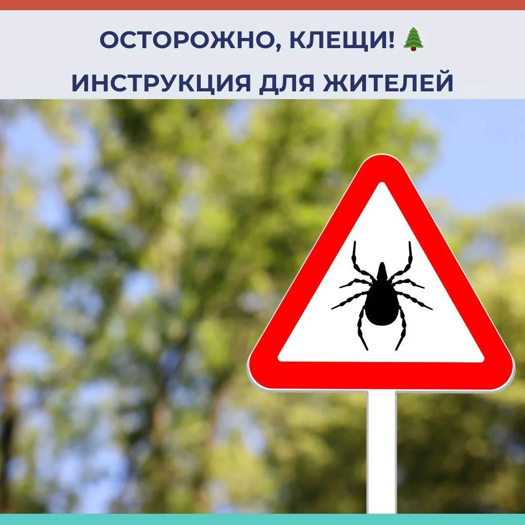 ОСТОРОЖНО, КЛЕЩИ! ИНСТРУКЦИЯ ДЛЯ ЖИТЕЛЕЙ 
Весна - период максимальной опасности укусов иксодовыми кл