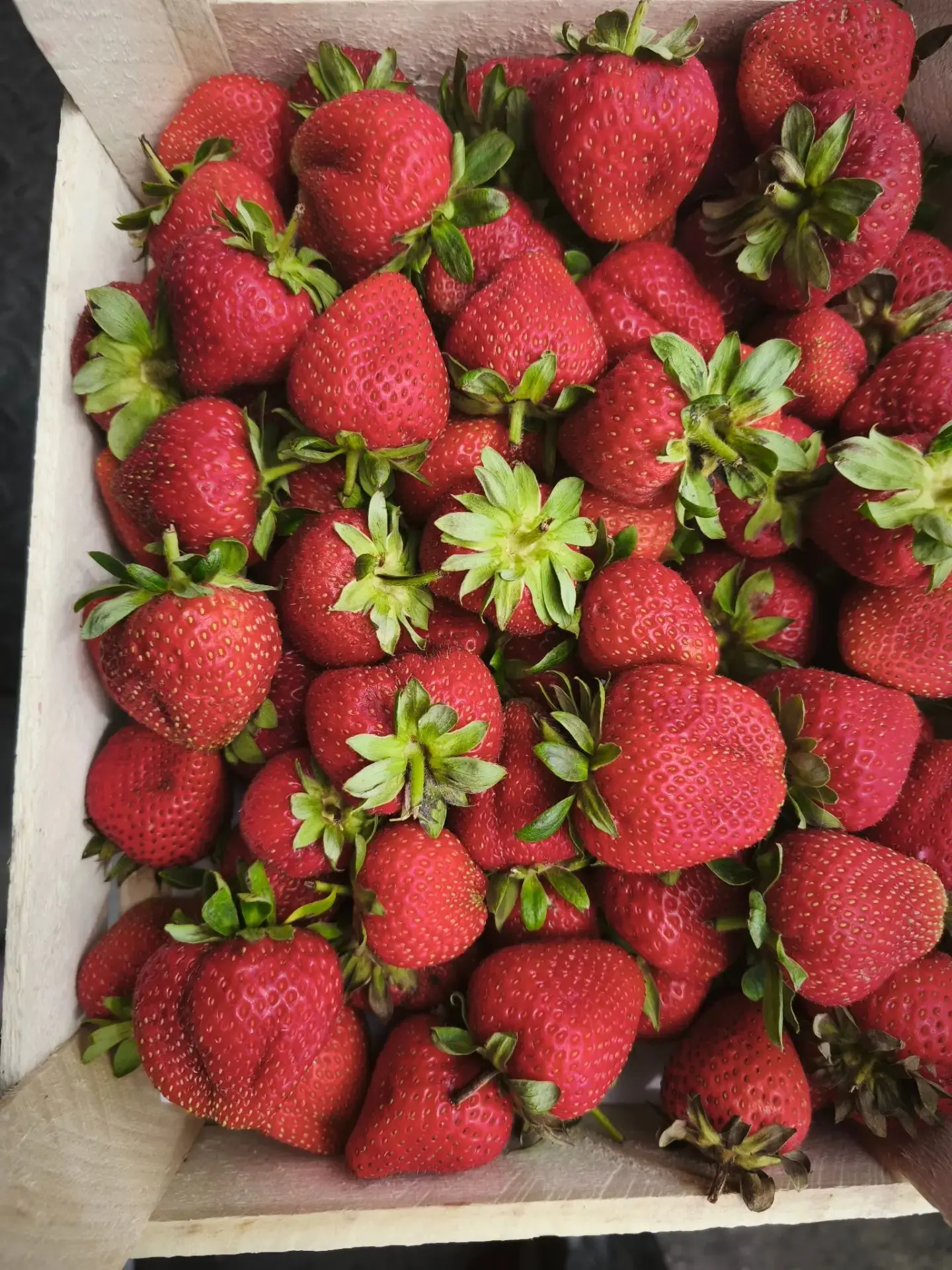 Клубника 🍓 Сортовая , КЛЕРИ, очень сегодня сладкая, вкусная!! ящик 1,8-2 кг 1350/1400₽