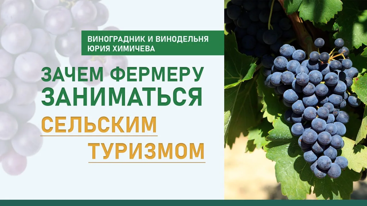 📣Новые люди – это новые идеи. Чем привлекателен сельский туризм для фермера [+ВИДЕО]

Сельский тури