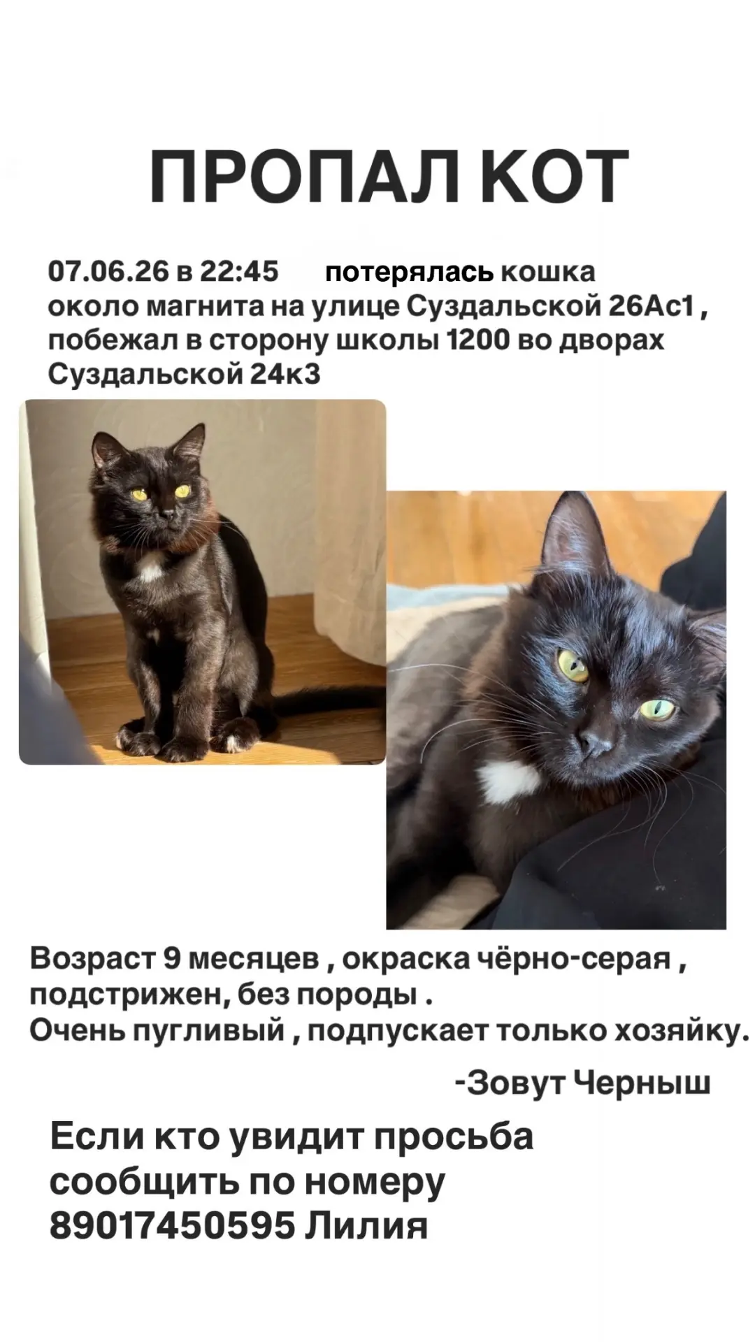 Метро новокосино 
пожалуйста если кто увидит или забрал . Просьба вернуть очень его ждем дома 😢

__