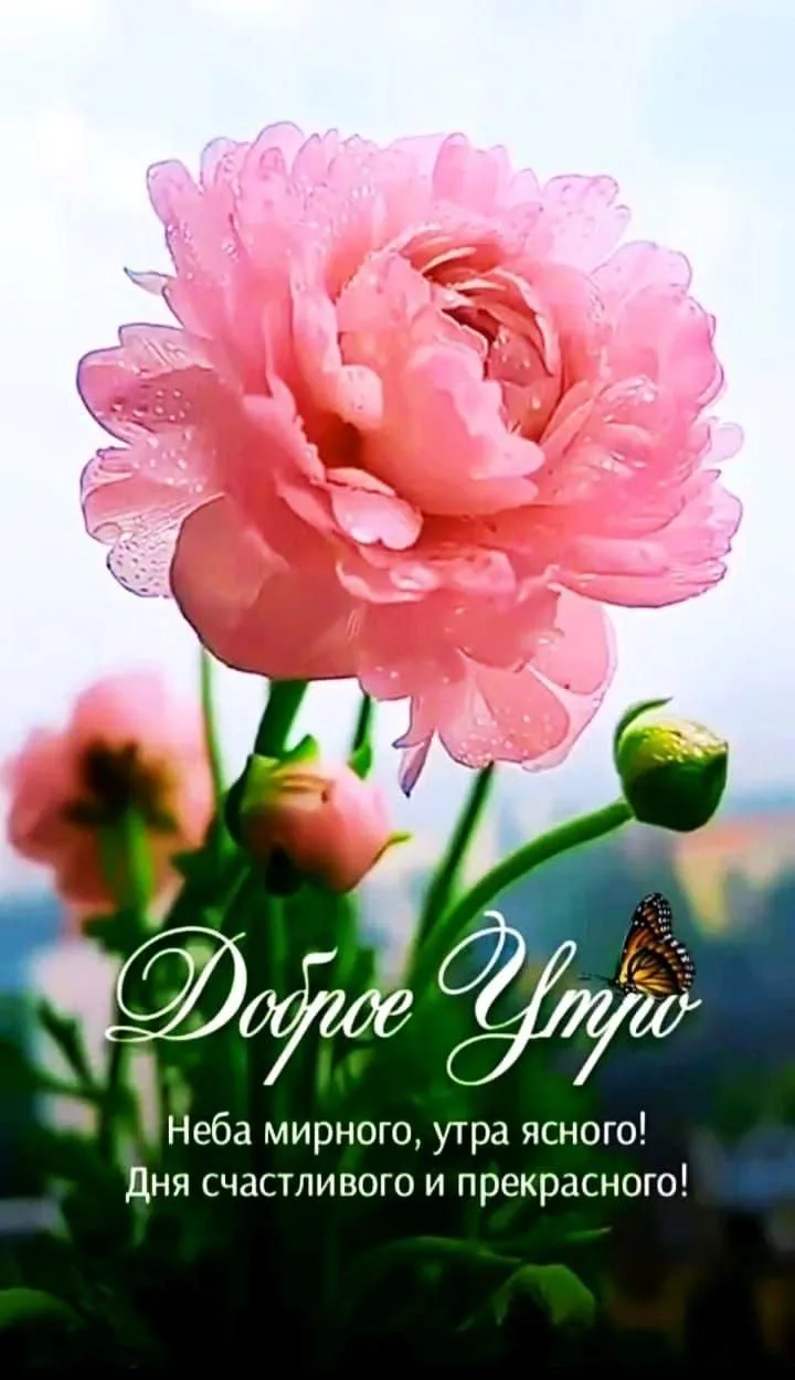Доброго утра и хорошего дня!