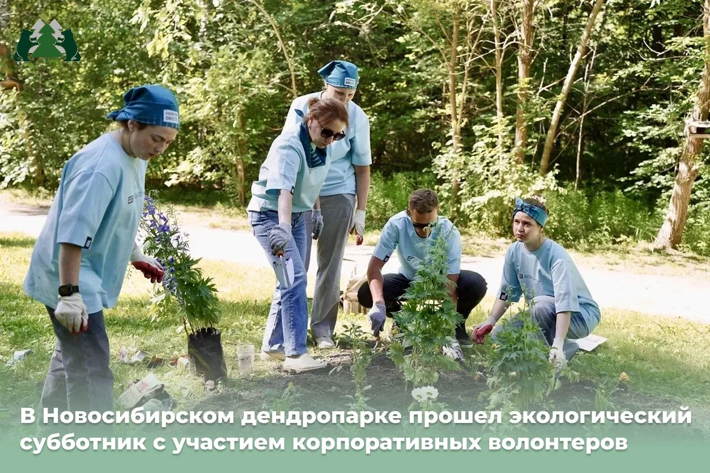 🌿 Более 70 волонтёров при поддержке природоохранной инспекции благоустроили центральную аллею Новос