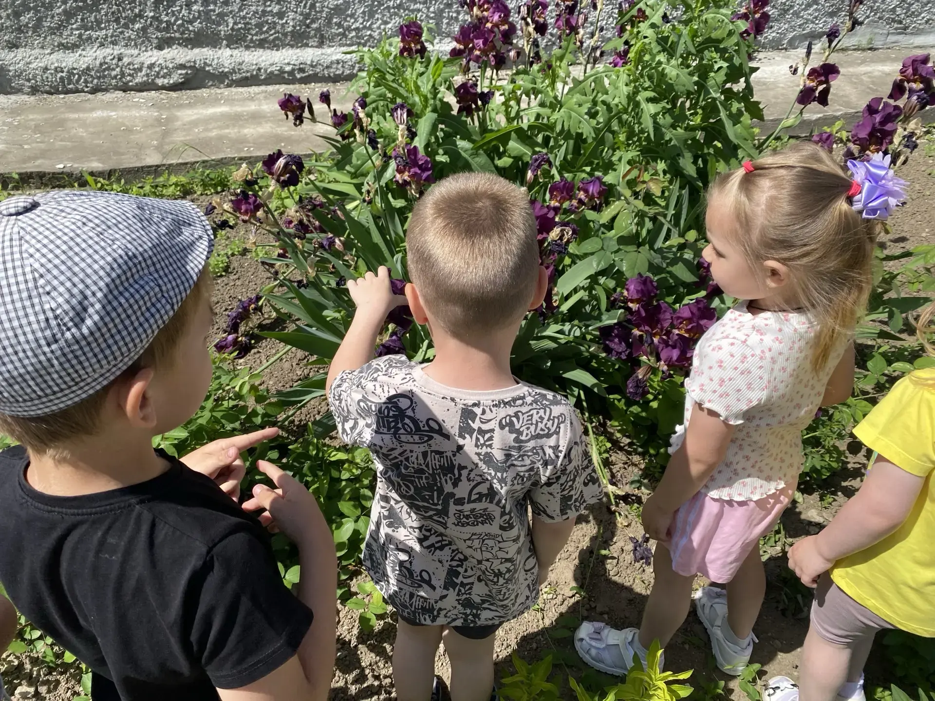 🌺 Наблюдение за цветами на клумбе в средней группе 🌿

Лето — одно из самых благоприятных времён го