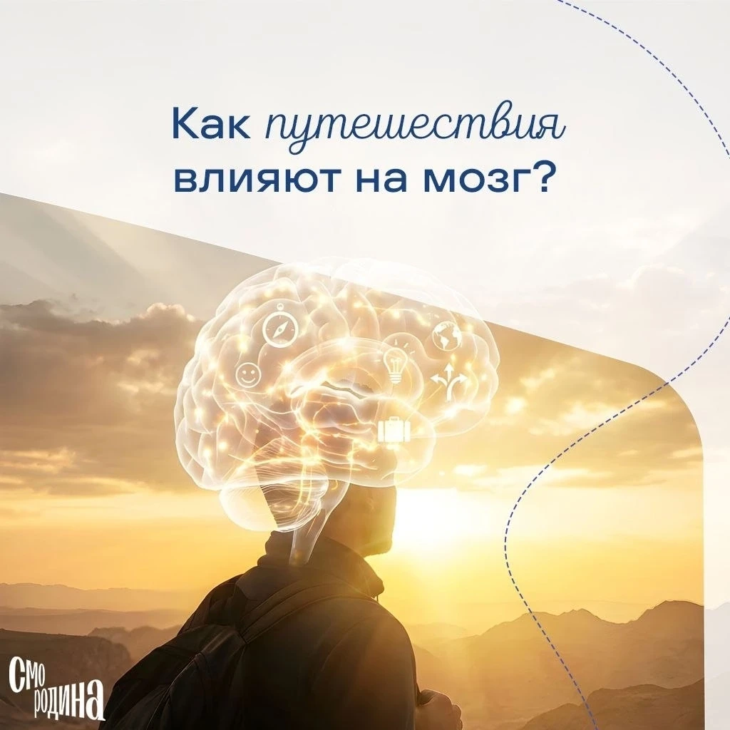 🧠 Что происходит с мозгом, когда вы путешествуете?

Путешествия — это не только про отдых и красивы