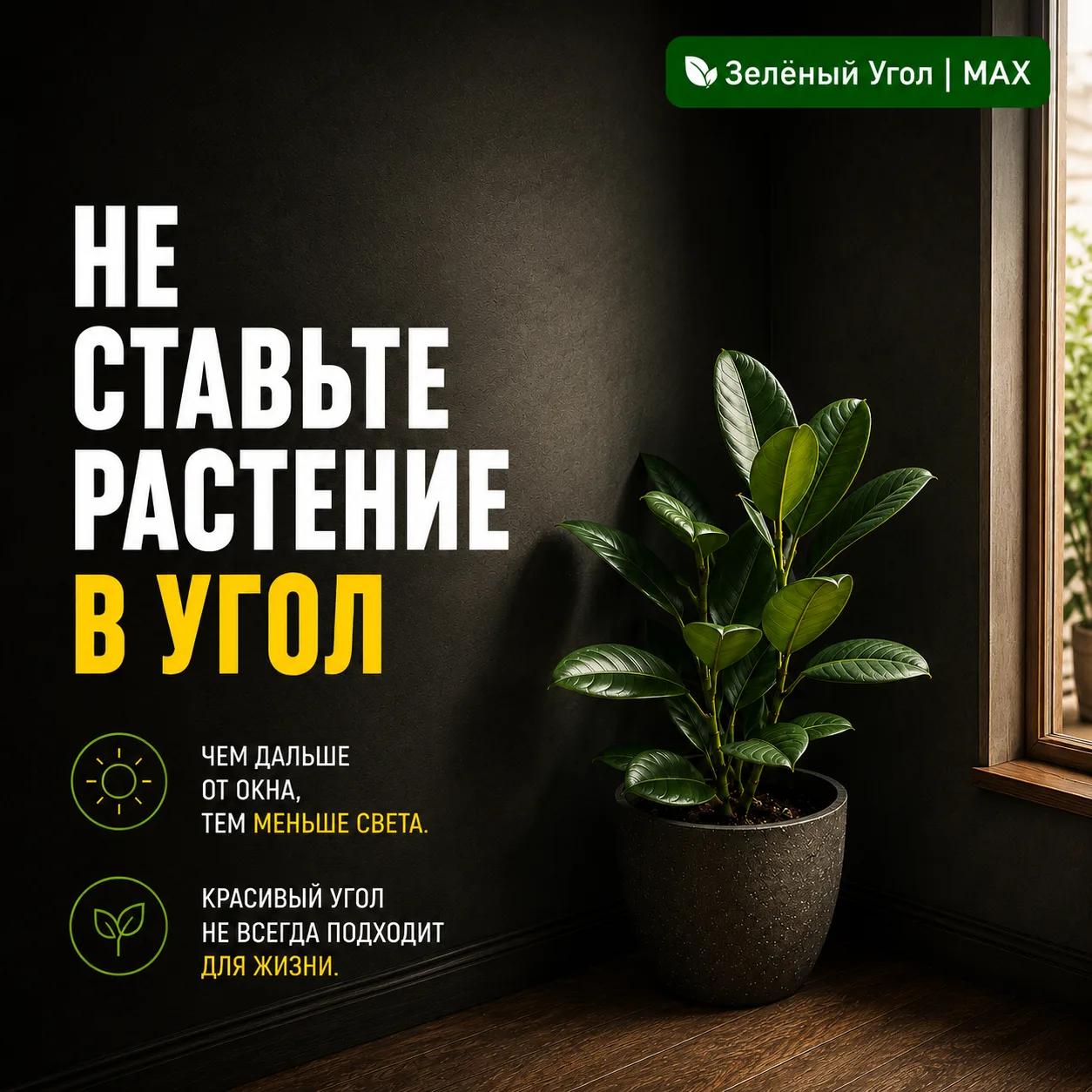 НЕ СТАВЬТЕ РАСТЕНИЕ В УГОЛ
 
Там красиво.
 
Но не всегда комфортно.
 
Чем дальше от окна, тем меньше