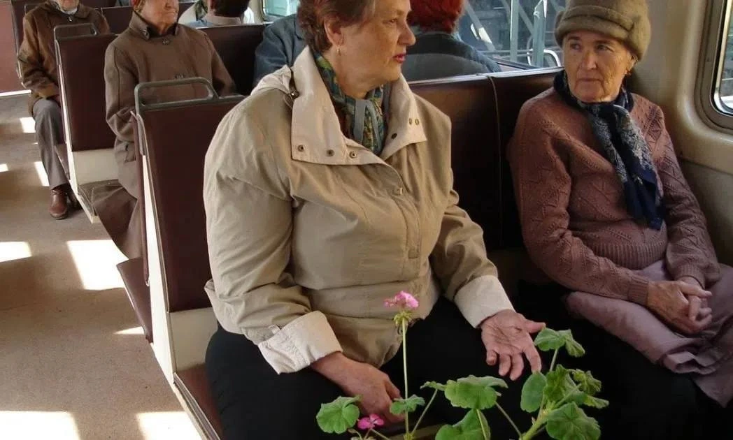 🚇 Электричку из Учалов в Уфу пока не запустят 

В Минтрансе Башкирии объяснили, что всё не так прос