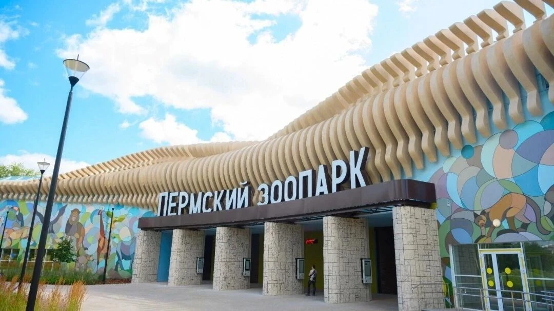 🐻🐵🦊93 года Пермскому зоопарку: бесплатные экскурсии и пенная вечеринка

В субботу, 1 августа, жит