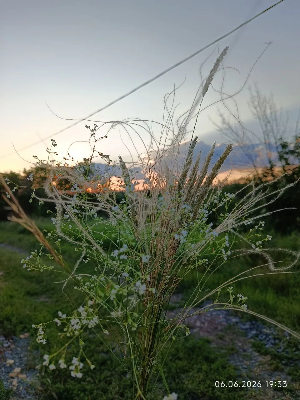🥰 Как же прекрасно у нас 🌿 в СНТ 🌞

🌼 Какие виды открываются — глаз не оторвать. 

☀️ Какие зака
