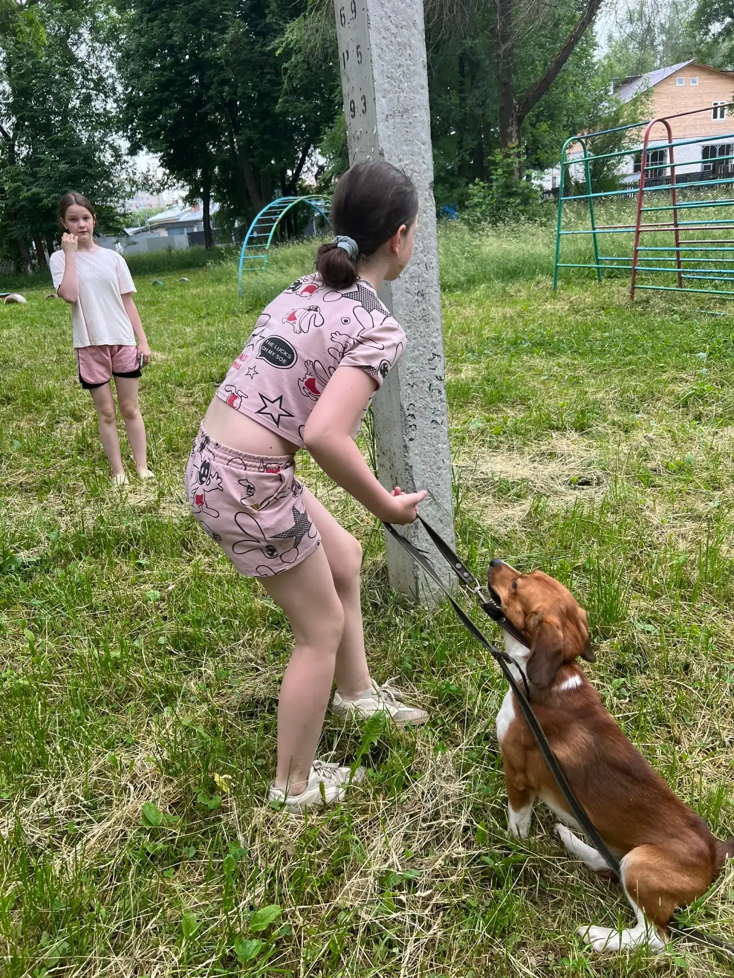Сегодня, проходя по скверу между улицами Куйбышева-Щербакова-Фрунзе-Автодора, на меня напала собака 
