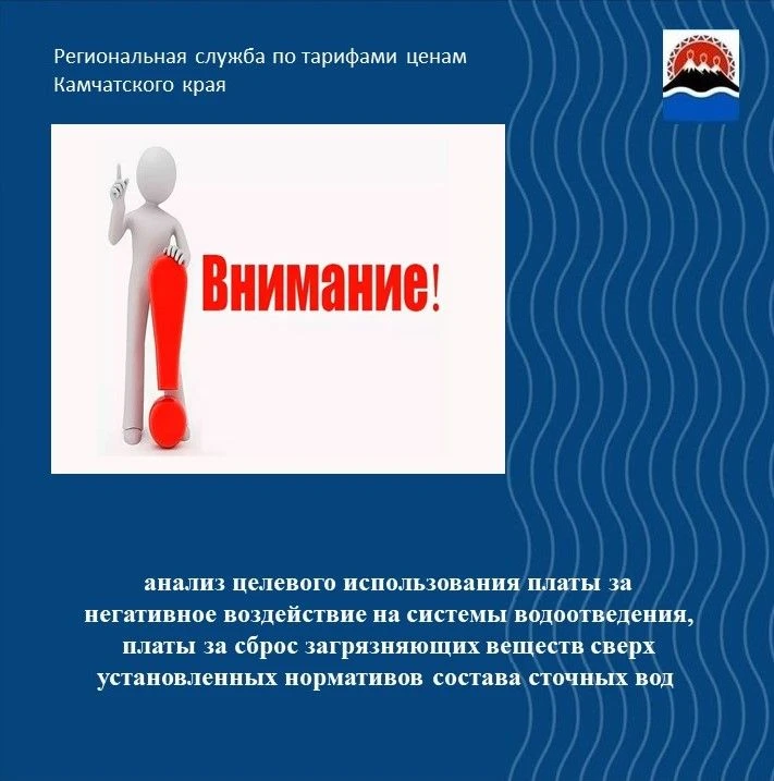 Региональной службой по тарифам и ценам Камчатского края проводится анализ целевого использования пл