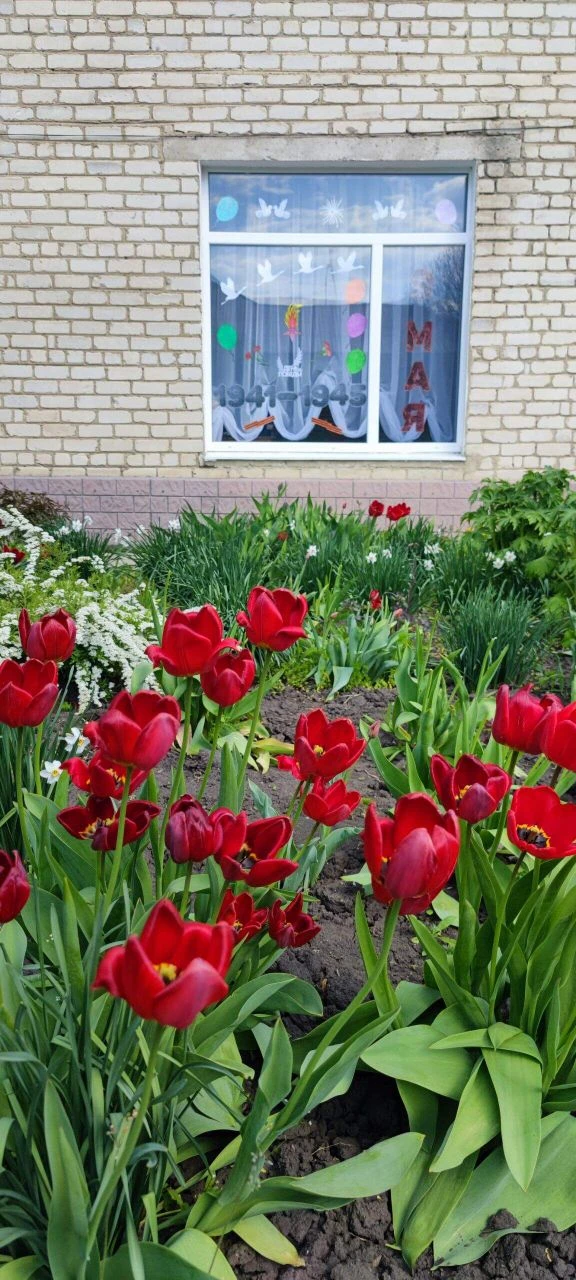 🇷🇺Окна Победы в нашем ДОУ🇷🇺

✨Акция «Окна Победы» - это Всероссийская акция, которая традиционно