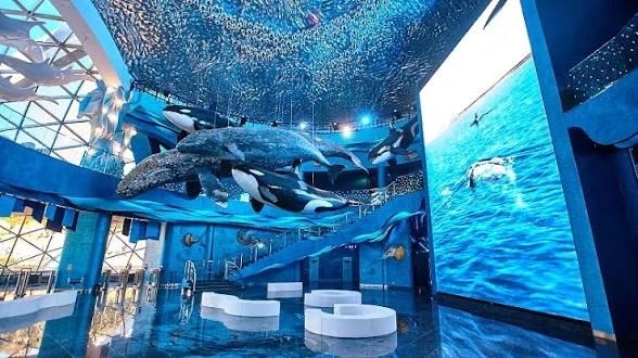 🐳🌊 Must-visit во Владивостоке: Приморский океанариум на острове Русский!

Один из крупнейших океан
