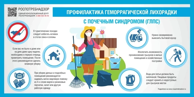 Геморрагическая лихорадка с почечным синдромом - острое инфекционное заболевание, вызываемое хантави