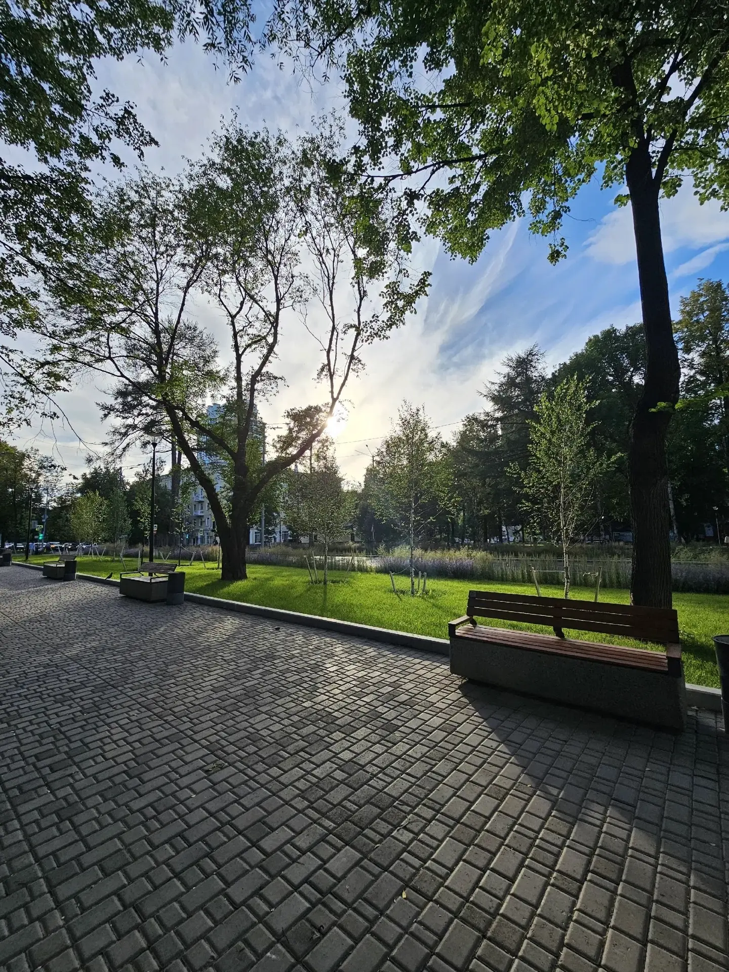 🌿 Знали, что в самом центре Перми есть место, где можно на время забыть о городской суете?

Это Сад