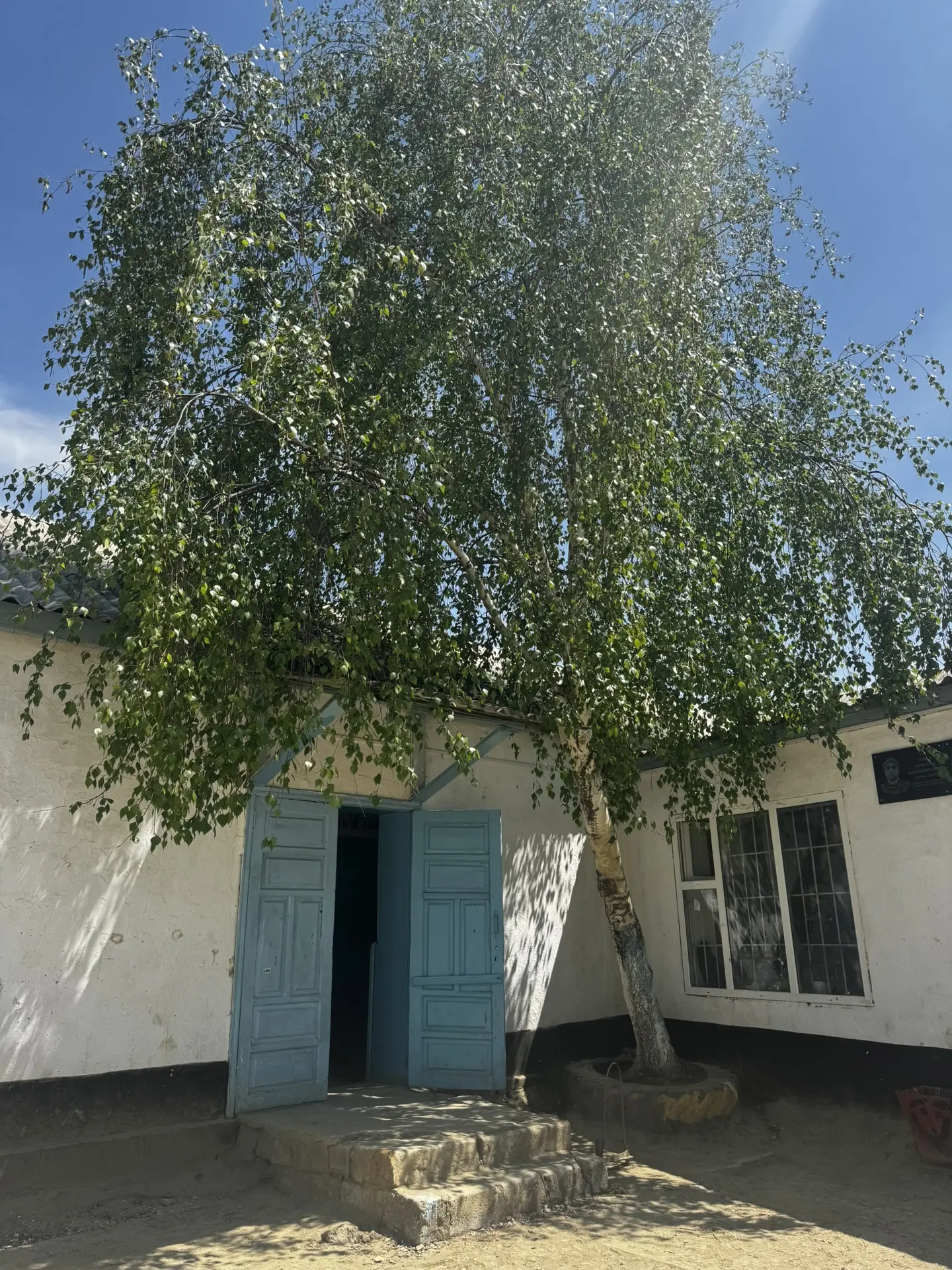 Доброе утро, школа! ☀️

Сегодня нас встречает по-настоящему чудесная погода — самое время начать ден