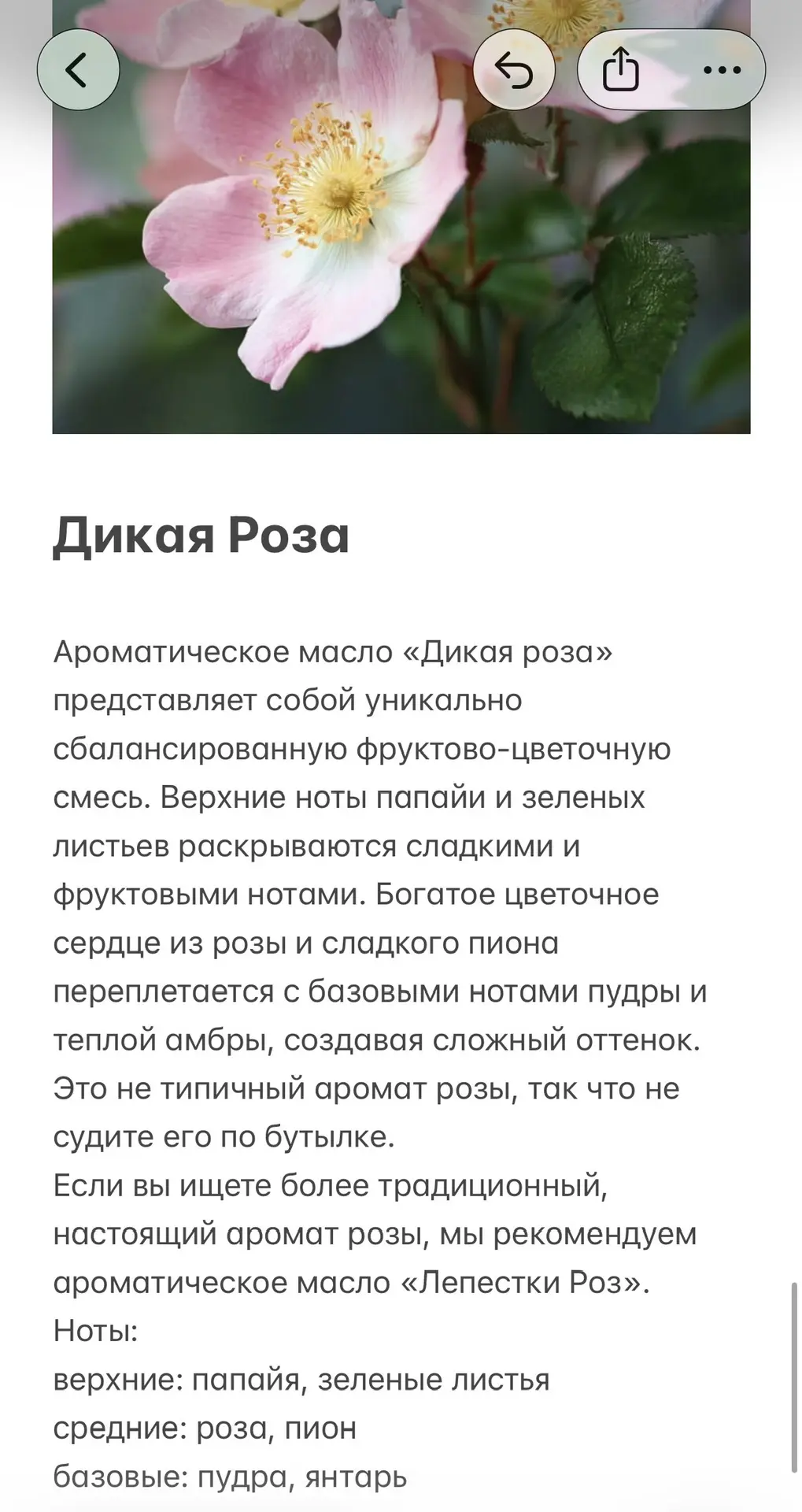 А это ароматы,из которых вы можете выбрать. 🥰