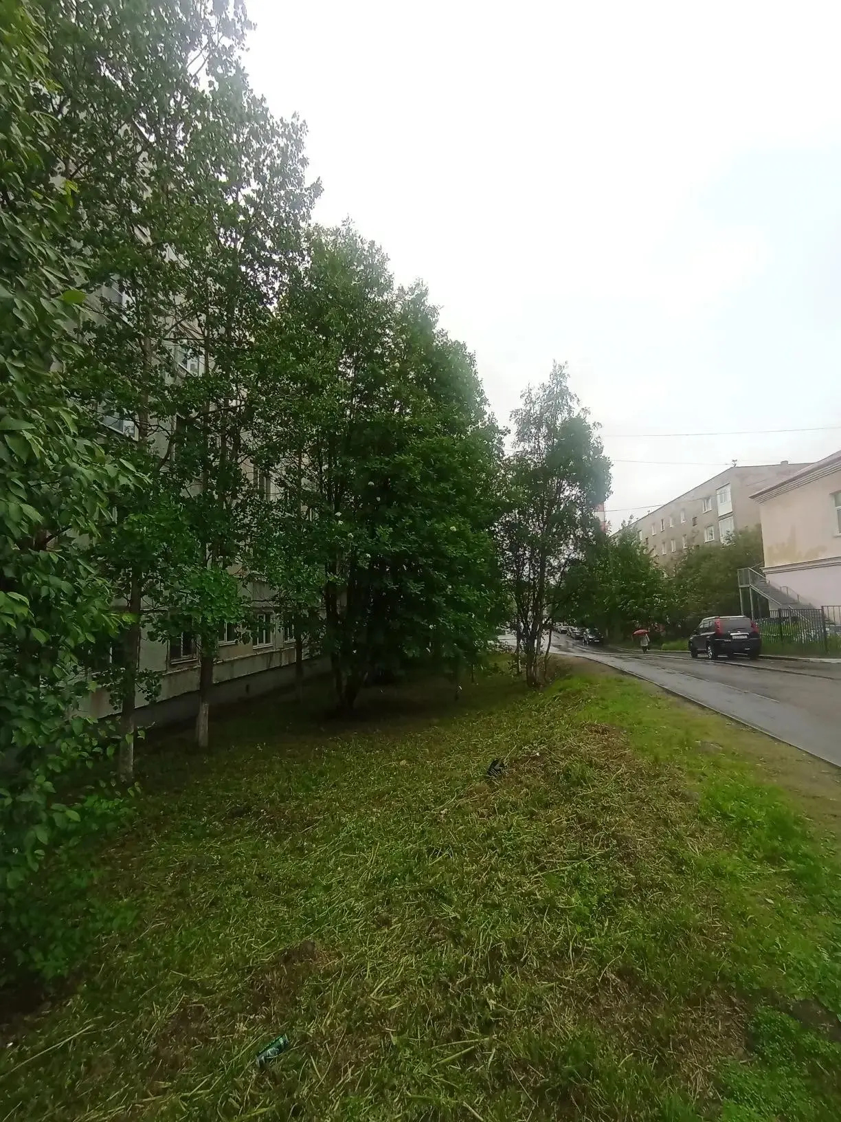 🌱Сама по себе зелень на улице не дорставляет чувство эстетики.

Начался сезон покоса травы. Теперь 