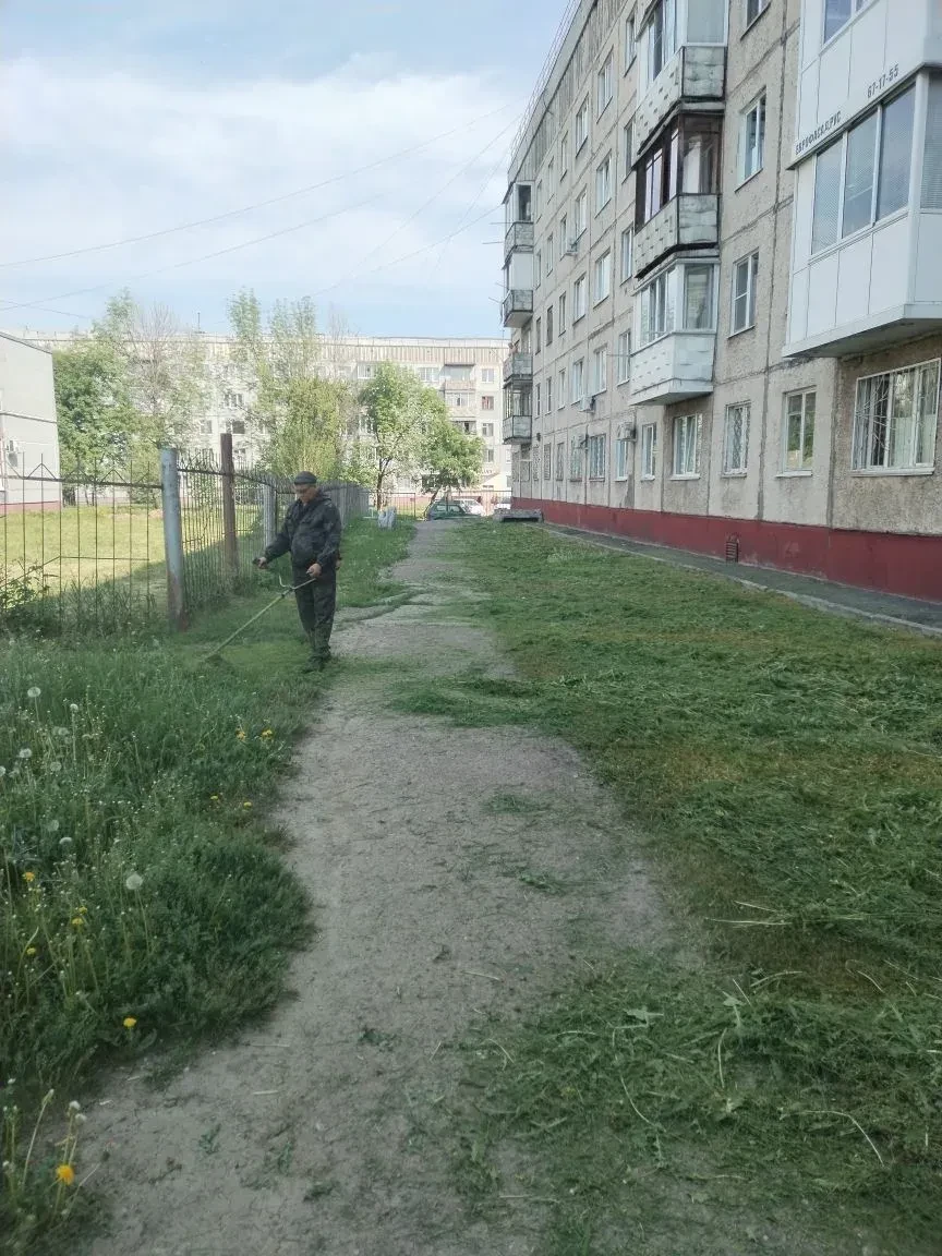 Покос территории дома бр.Строителей, 46а.