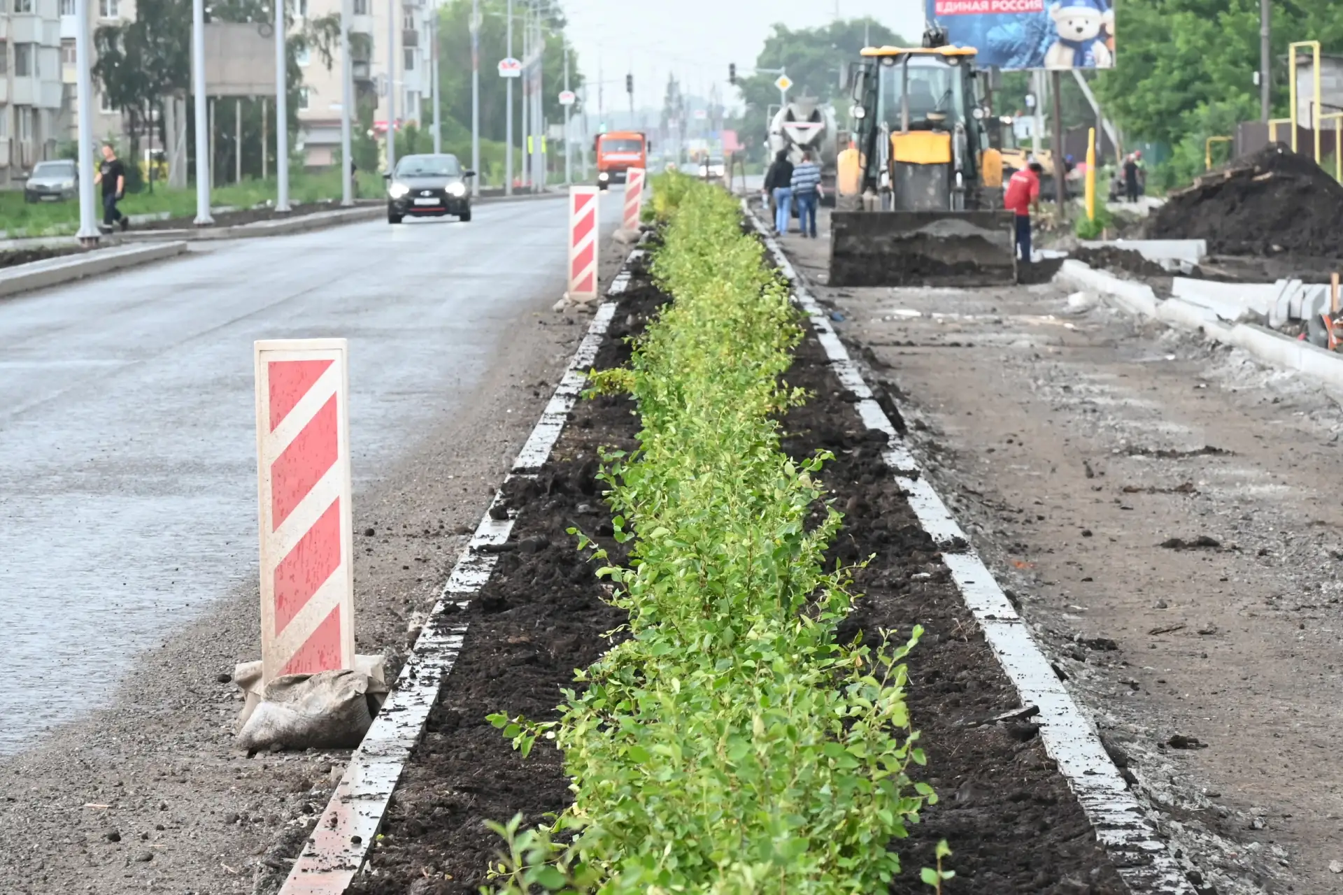 Высадка кустарника по ул.Кунавина, между действующей и новой полосой (для частных домов) движения