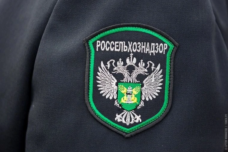 «Киләсәк»тән 1,4 тонна һыйыр ите
Бер ветеринар «киләсәккә» һыйыр итен оҙатҡан, тиҙәр Россельхознадзо