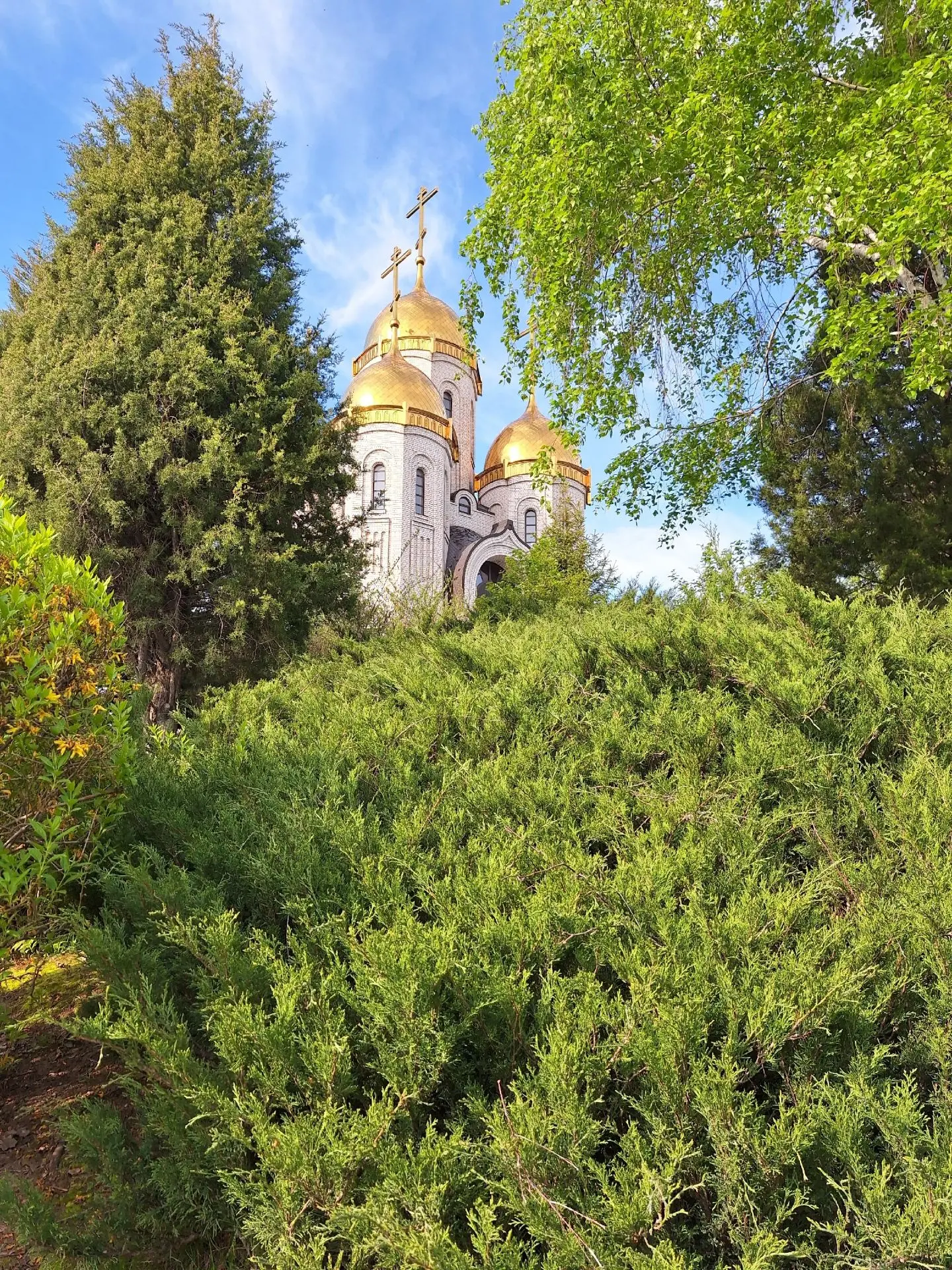 Волгоград
От Валентины Михалченковой