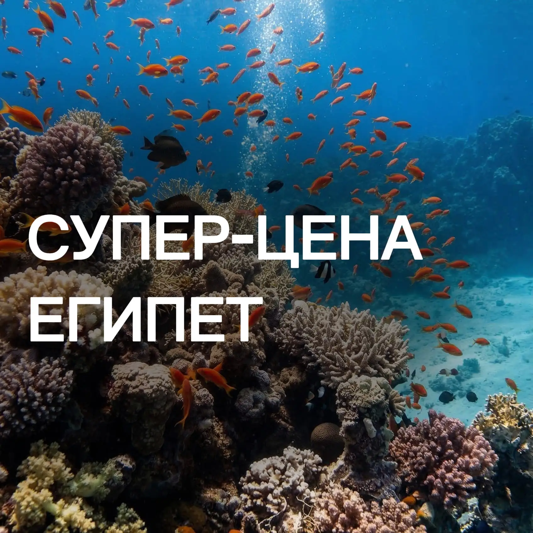 ПОДБОРКА КЛАССНЫХ ОТЕЛЕЙ С ВЫЛЕТОМ ИЗ СОЧИ✈️

📍 Шарм-эль-Шейх, 15.07 на 7нч, 2взр
➖Jaz Neo Sharks B