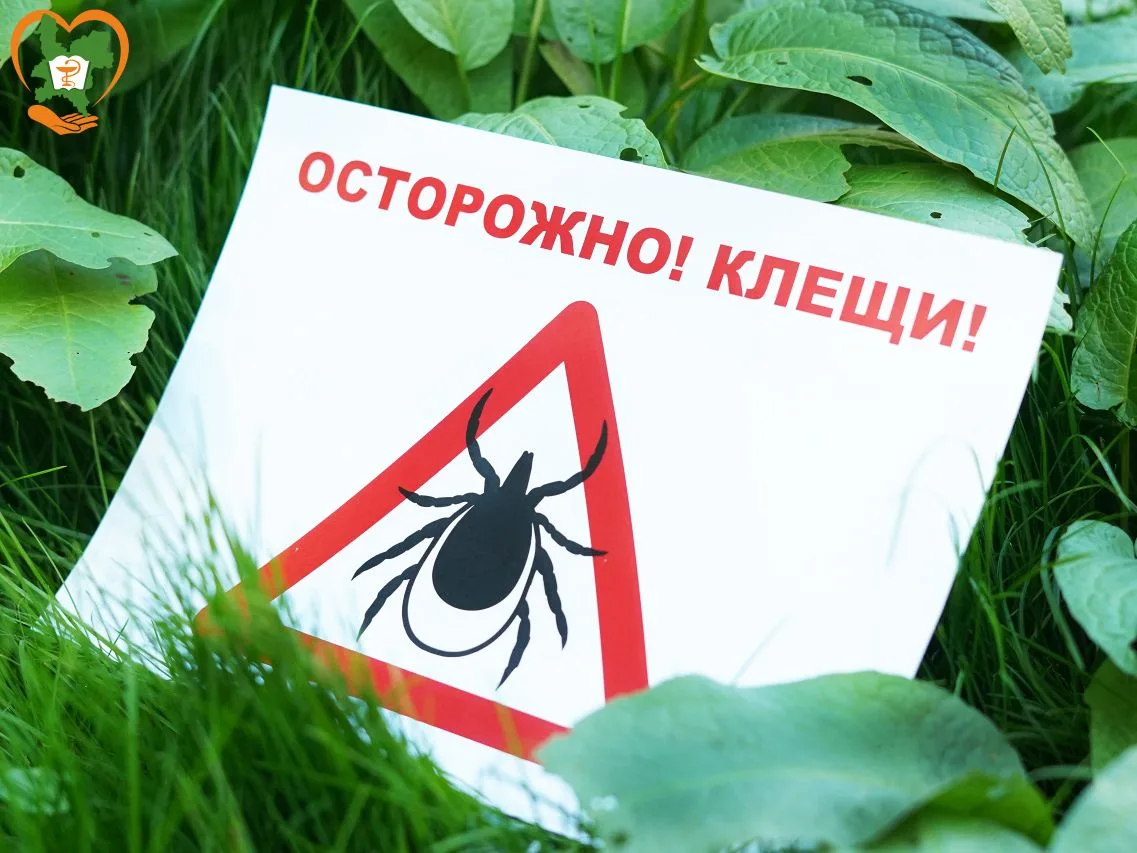 🌳 Как обезопасить детей от укусов клещей во время прогулок?

👍 Соблюдайте правила безопасных прогу