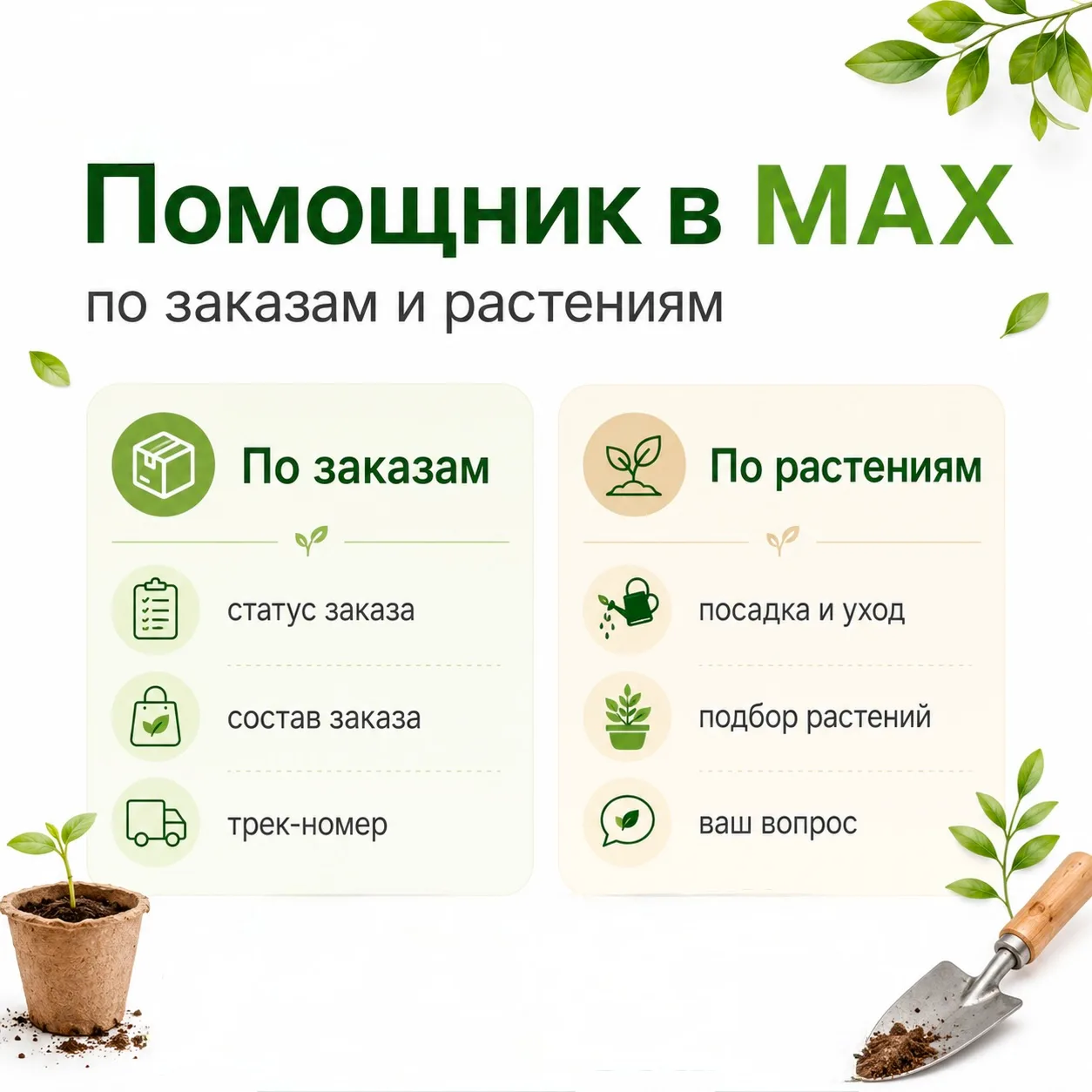 Информация по заказам и саженцам в MAX + персональный промокод 🎁

У Питомника Росток появился помощ