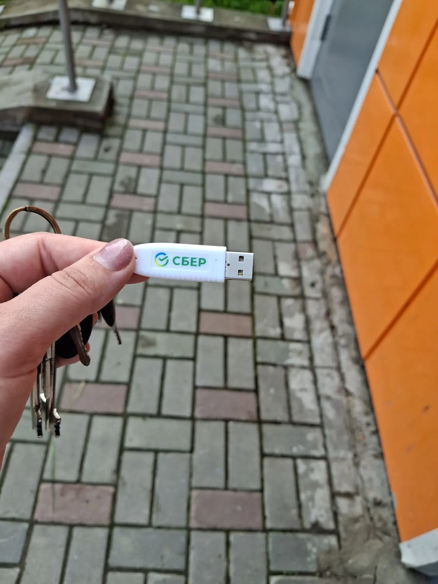 Доброе утро,кто то потерял возле 3 подъезда...1 дом