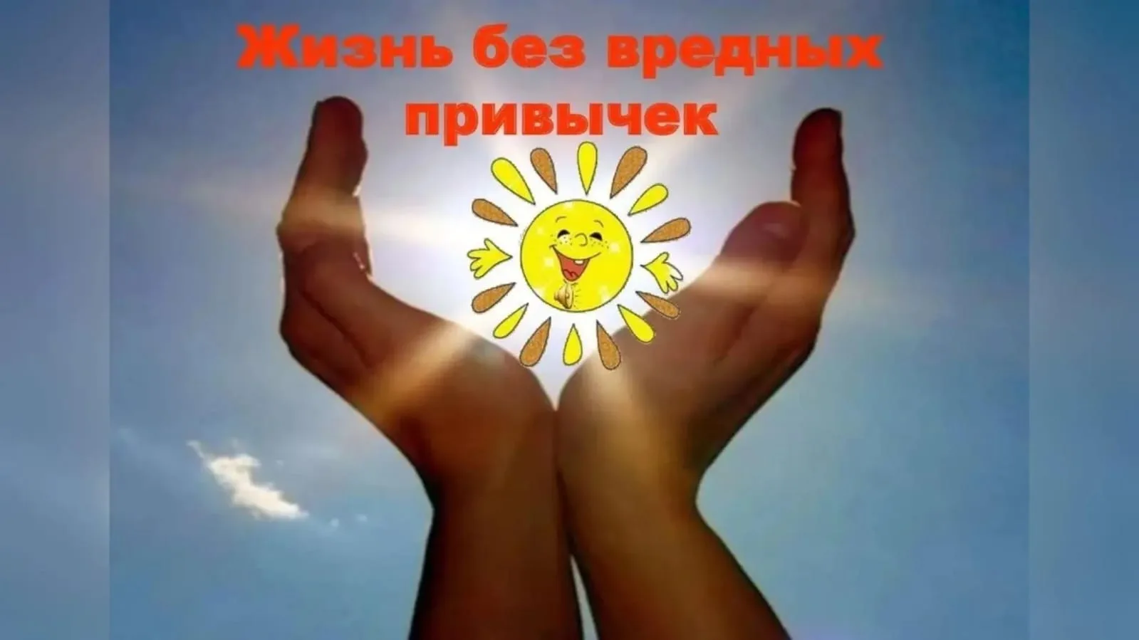 🍉«Мир без вредных привычек»

 💯Подведены итоги муниципального конкурса проектных работ «Мир без вр