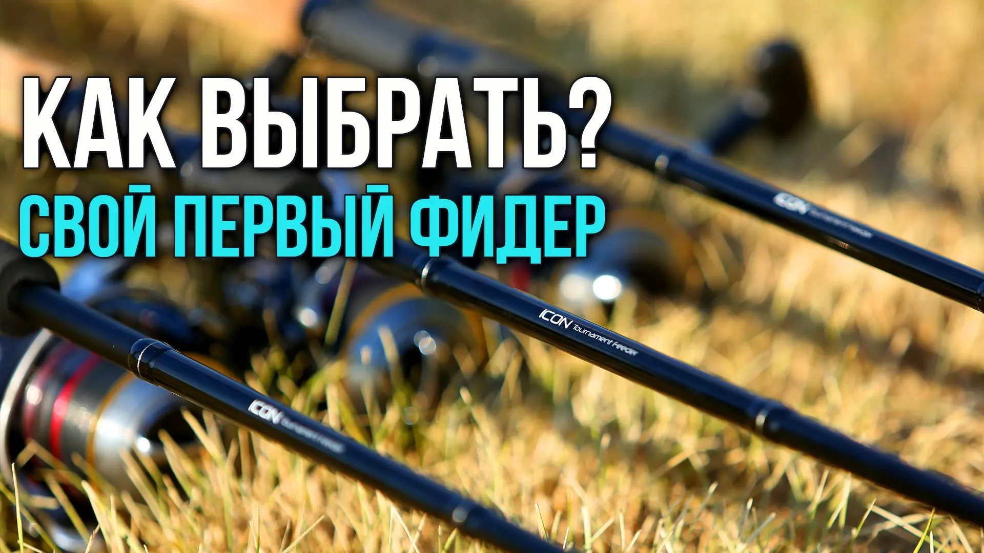 Статья о том, как выбрать свой первый фидер 😉
https://vk.ru/wall-190973553_167366