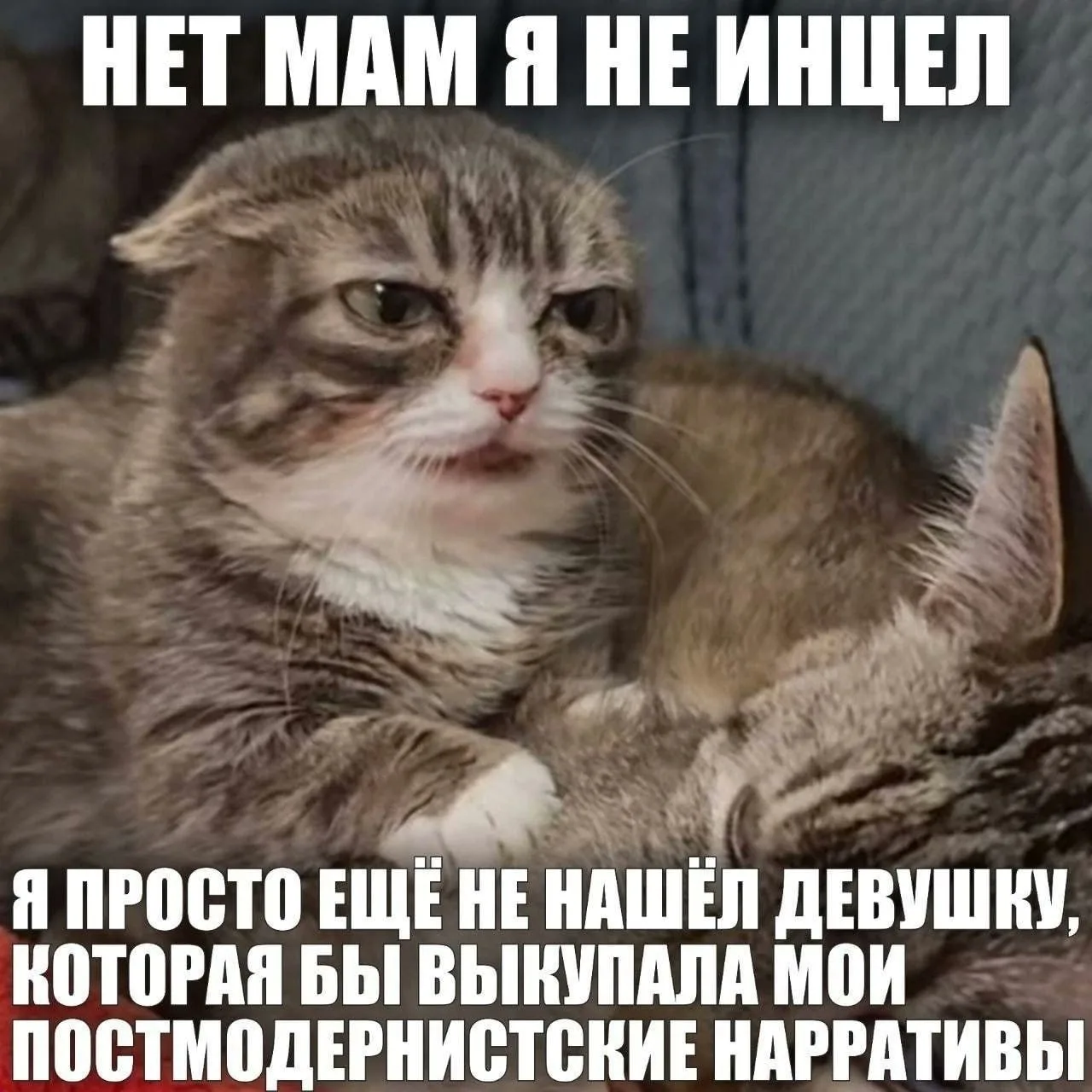 👀 Инцелов в России предложили признать экстремистами

По мнению общественников, идеология движения 