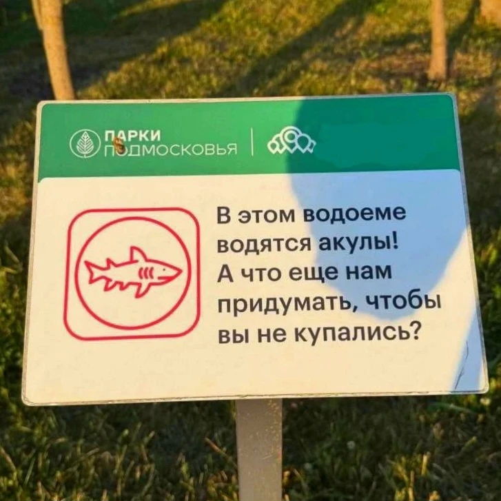 Подмосковные парки сдались. И это лучший запрет купания в истории. 🤣🦈

#Жуковский